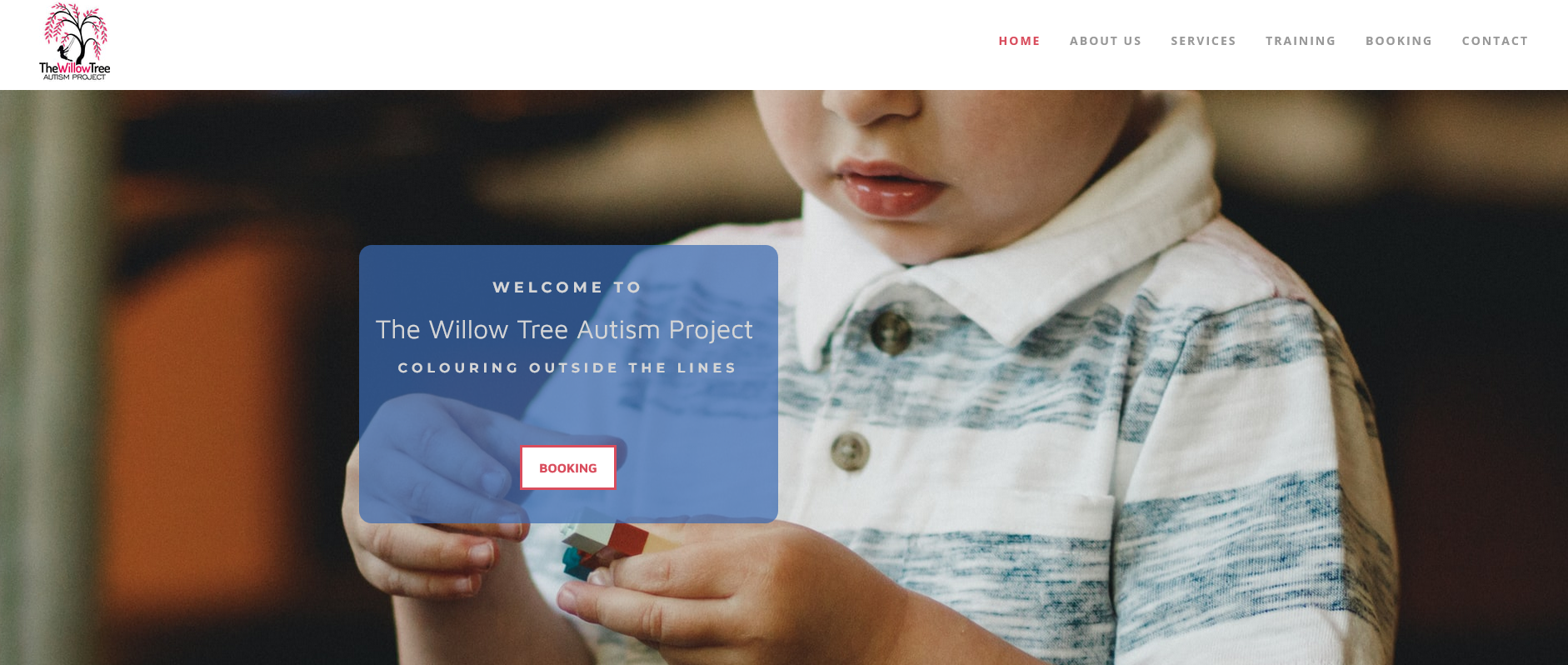 clonmel website design for The Willow Tree Autism Project
